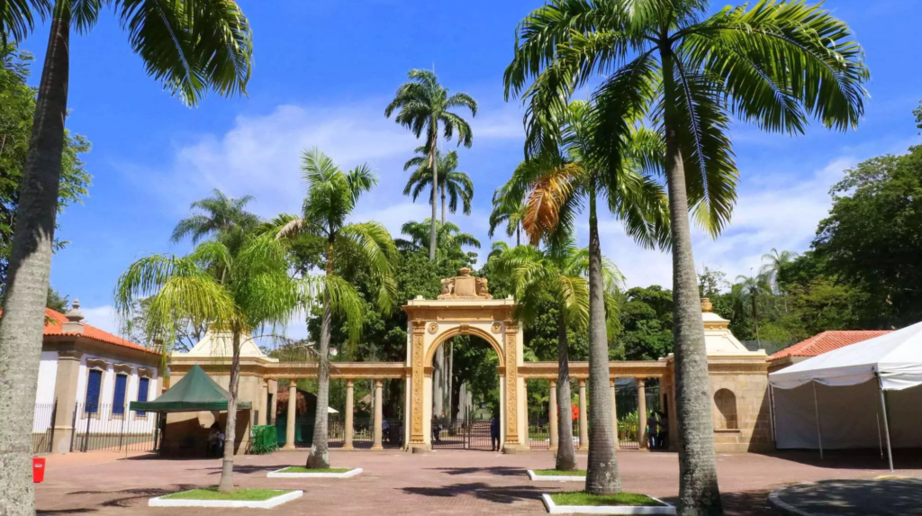 outdoor, céu, palmeira, Arecales, nuvem, sombra, Hacienda, Tamareira, Babaçu, Palmeira-de-óleo, Roystonea, Paisagismo, resort, construção, térreo, palma, árvore, planta, casa, férias, parque