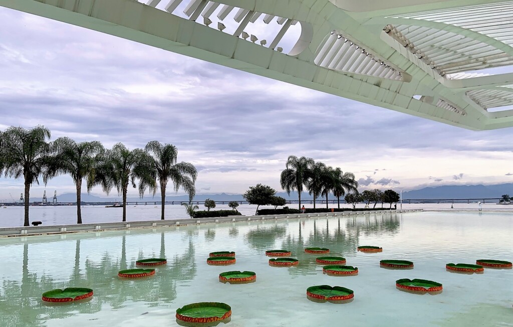 nuvem, água, árvore, céu, planta, outdoor, palmeira, lago, paisagem, praia, resort