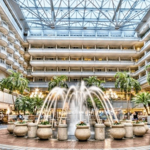 Compartilhando Emissões: Nova York para Orlando voando com a American Airlines