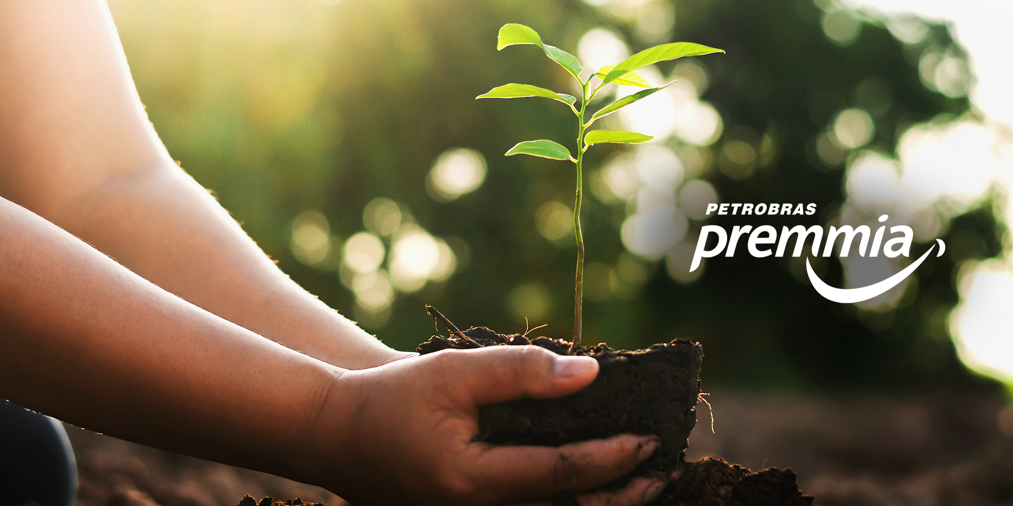 pontos premmia, pessoa, árvore, outdoor, mão, natureza, mulher, planta