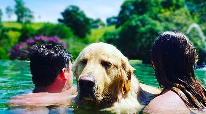 Pousada Gaia Viva, uma das melhores do mundo segundo o Traveller's Choice do TripAdvisor.