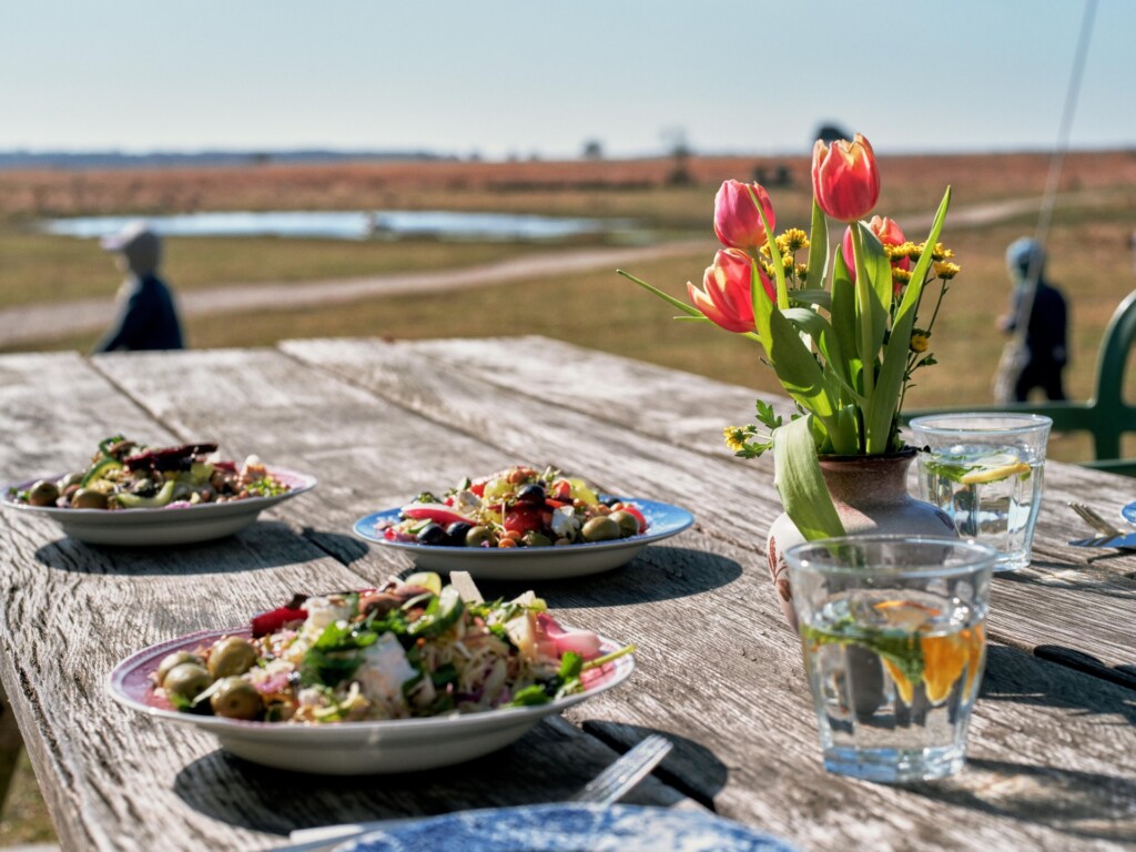 céu, mesa, louça, outdoor, alimento, refeição, placa, planta, flor, grama, sentar-se, piquenique, térreo, deserto