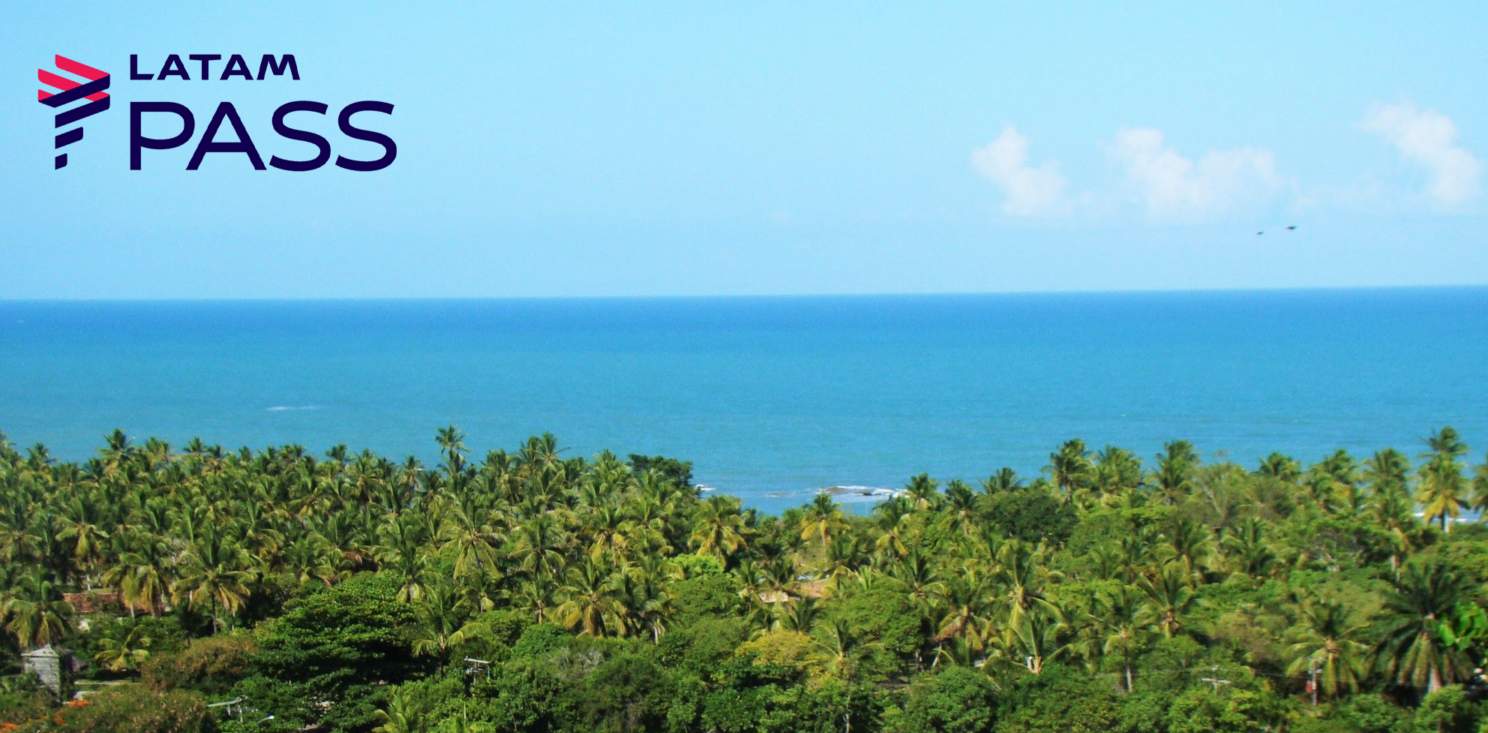 céu, outdoor, árvore, água, Trópicos, planta, nuvem, Azure, palmeira, praia, costa, oceano, natureza