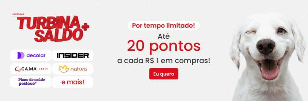 texto, animal, Raça canina, cão, animal de estimação, mamífero