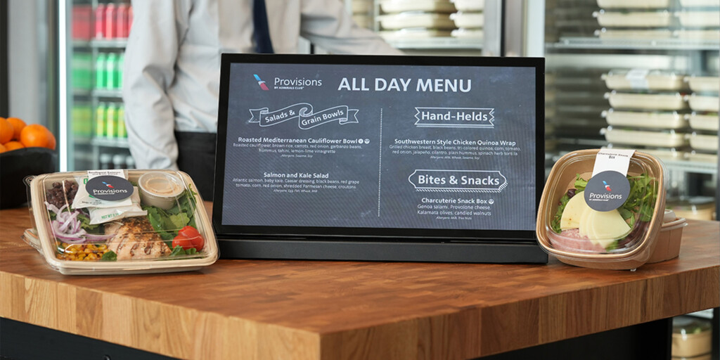 provisions american airlines