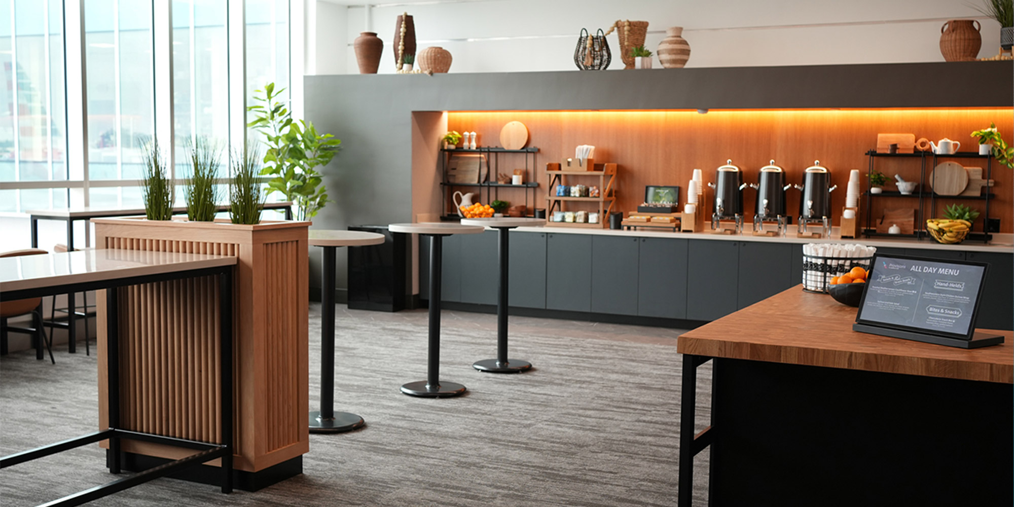 provisions american airlines