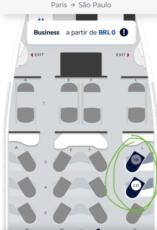 Compartilhando Emissões - Paris para Guarulhos em classe executiva voando Air France