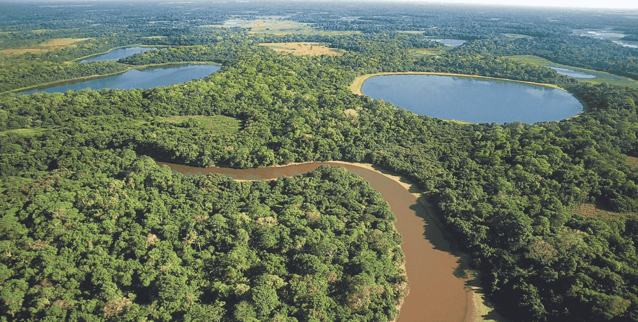 Como chegar ao paraíso natural do Pantanal