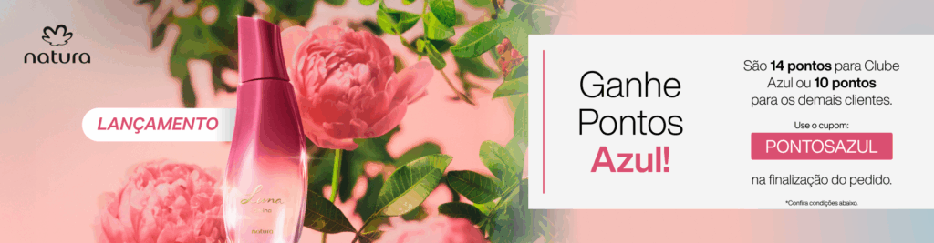 texto, flor, cor de rosa, rosa