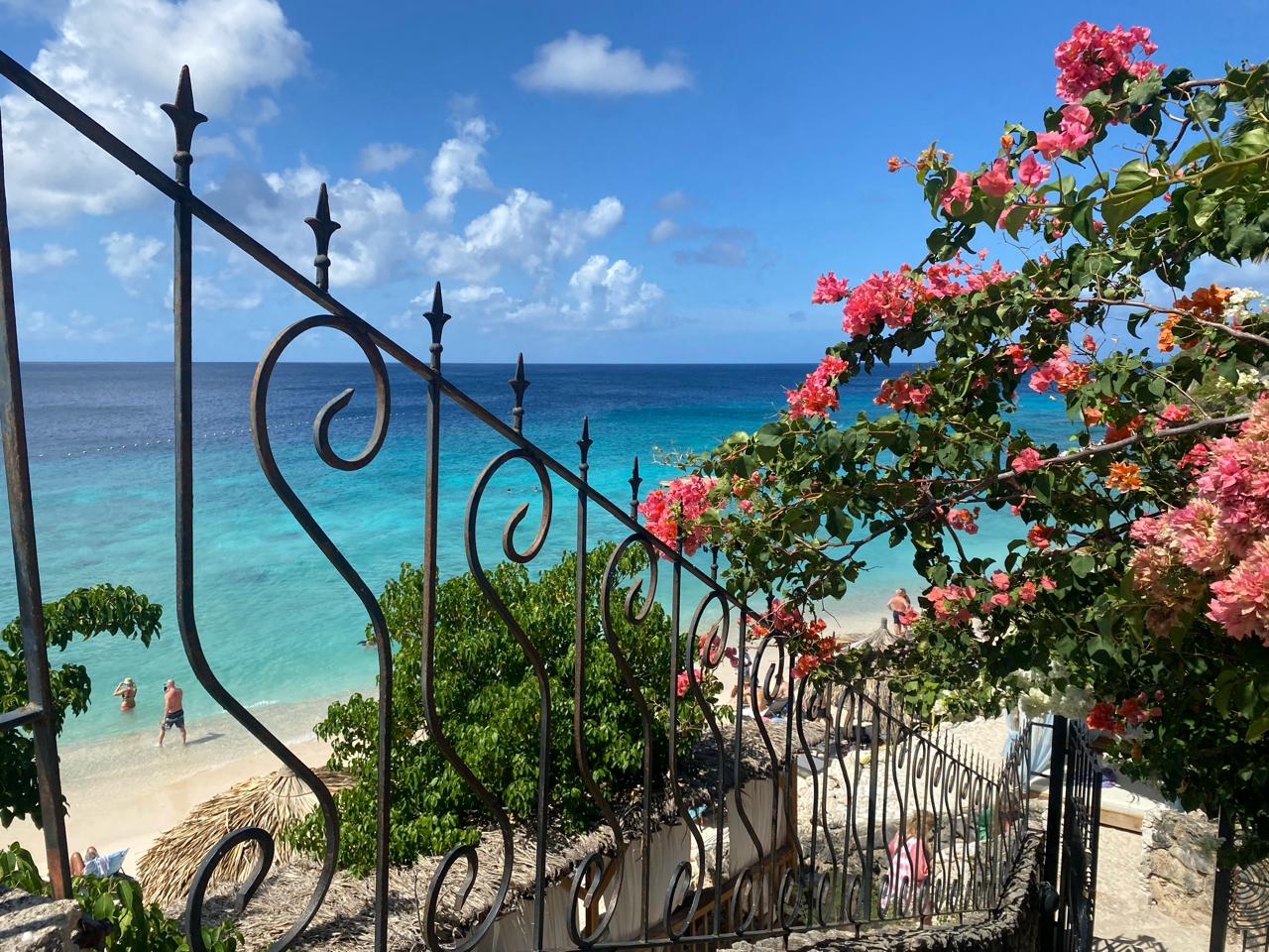 outdoor, céu, nuvem, planta, construção, cerca, praia, árvore, água, flor, térreo, oceano