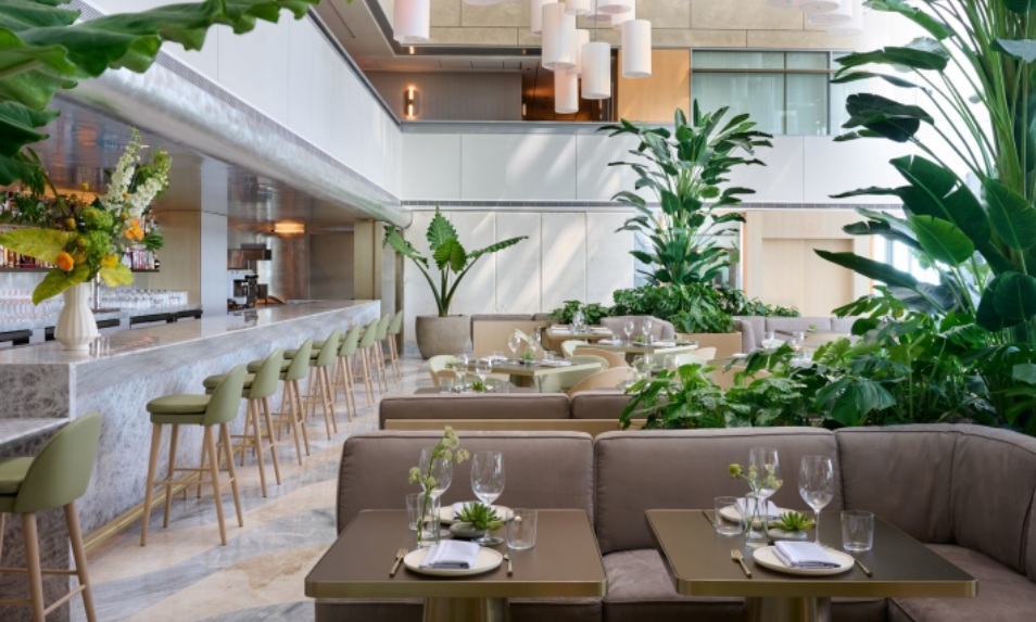 móveis, planta doméstica, mesa, Mesa da sala de jantar e cozinha, design de interiores, mesa de café, cadeira, vaso, planta, interno, restaurante, vaso de flores, pátio, parede, teto, janela, jantar, flor, piso, design, casamento