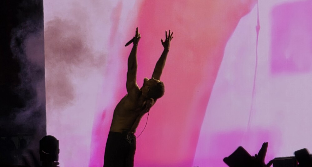 concerto, entretenimento, Magenta, violeta, artista, pessoa, música