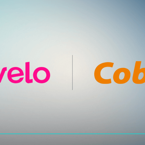 Nova parceria! Livelo e Cobasi oferecem 6 pontos por real gasto