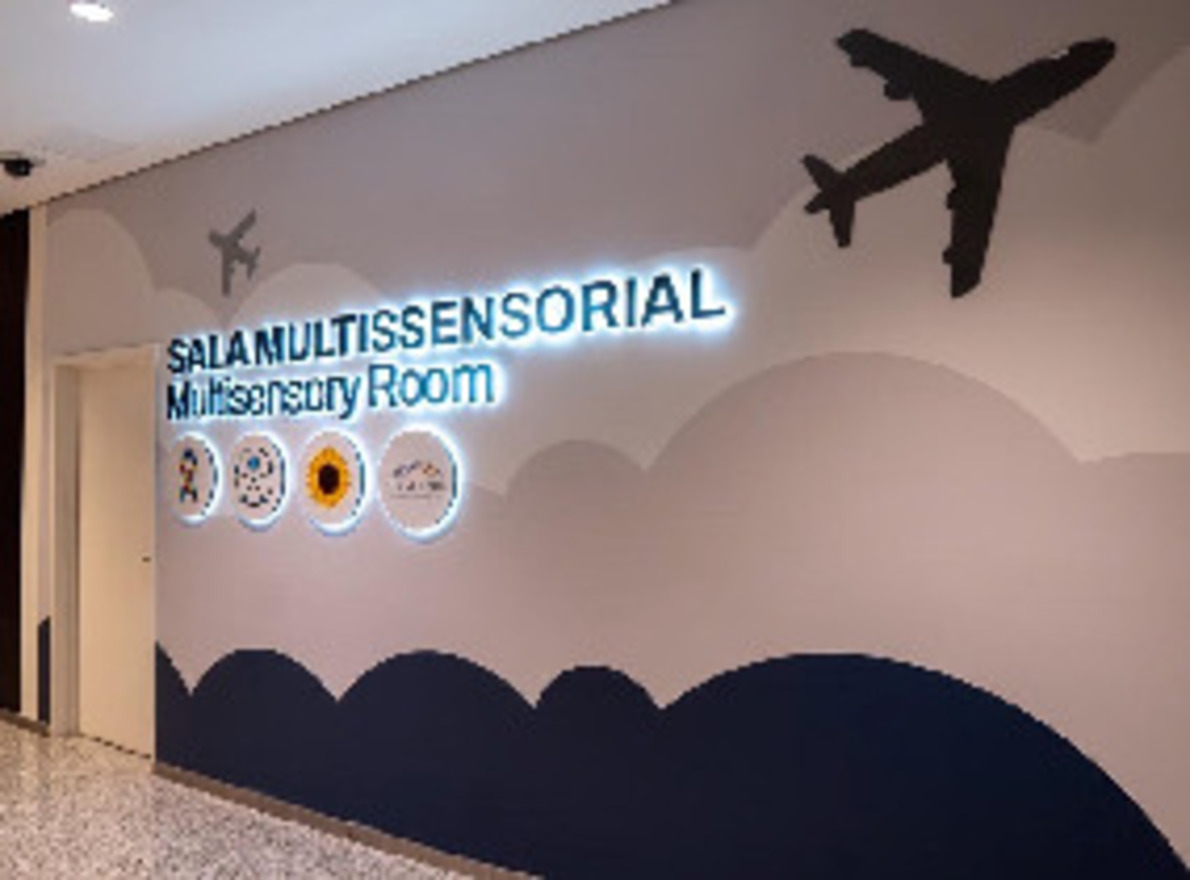 parede, aeronave, avião, interno, plaina, teto, grande