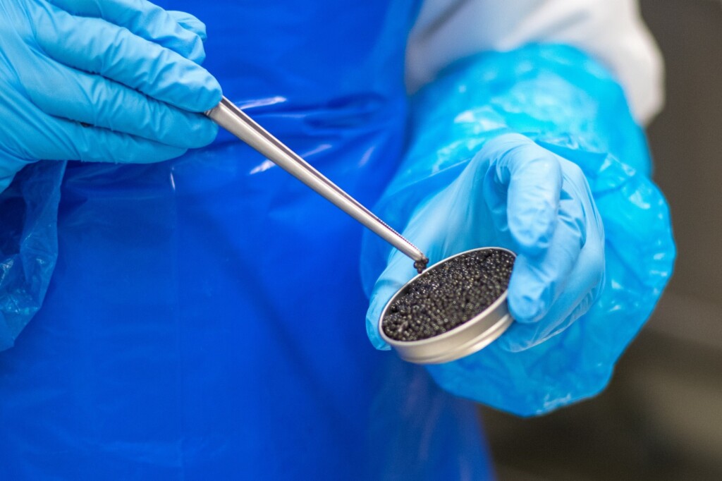 pessoa, azul, Luva médica, Equipamento médico, assistência médica, interno