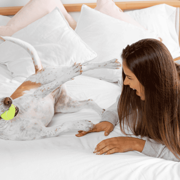 Viagem completa com seu pet! Hotéis pet-friendly em SP com diárias a partir de R$ 146