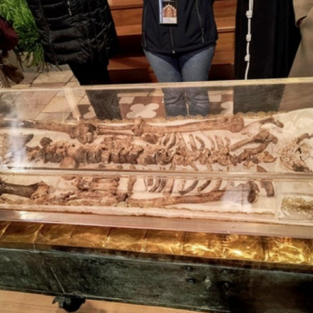 Inédito! Exposição na Itália revela restos de São Francisco de Assis