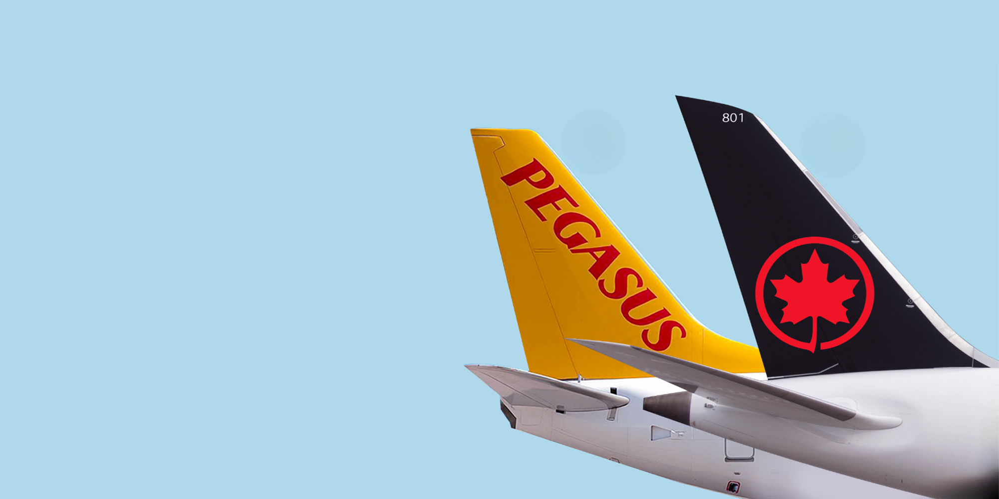 pegasus air canada pegasus turquia