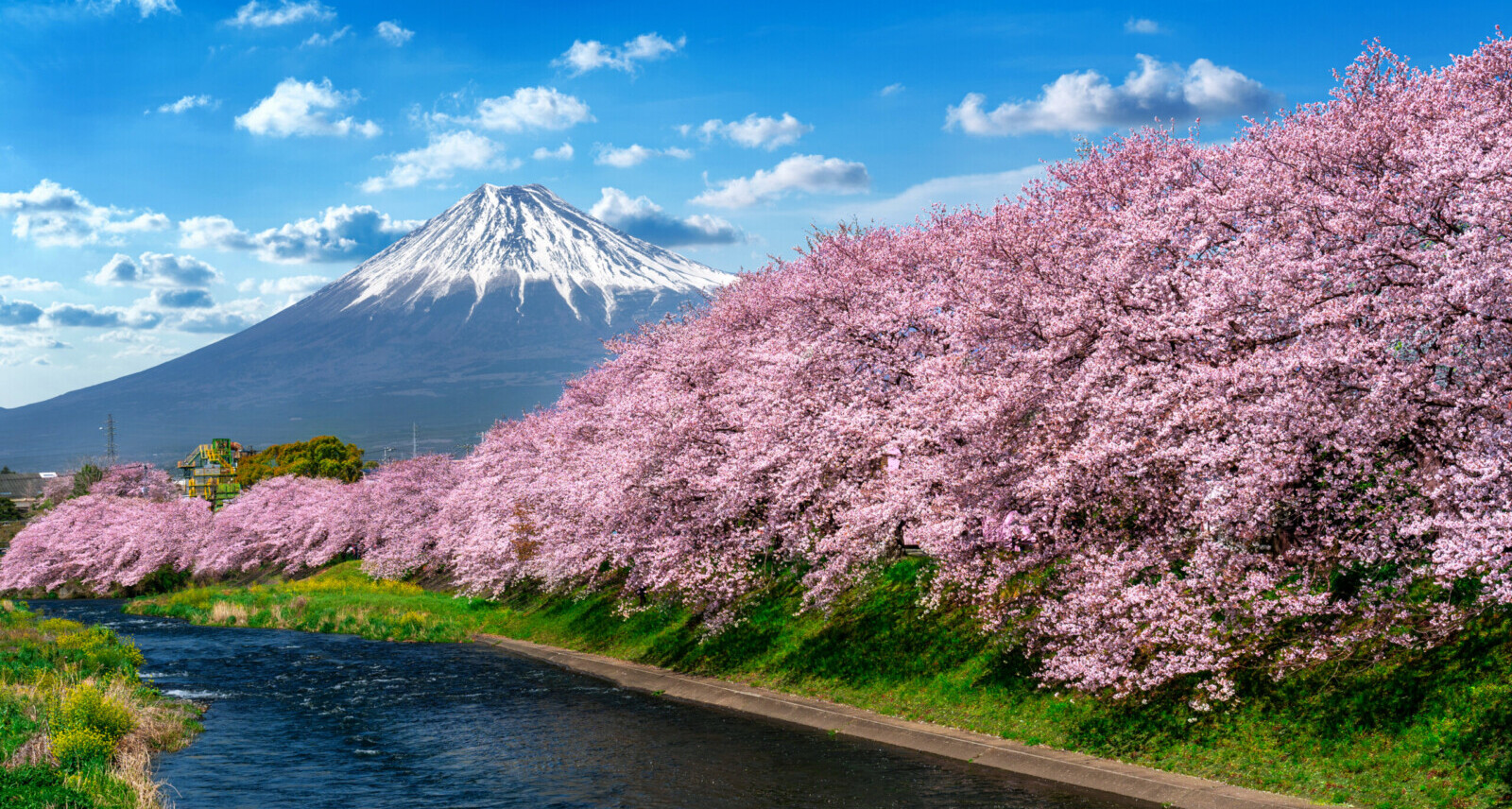 Invalid request error occurred.