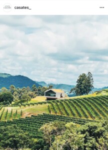 outdoor, nuvem, paisagem, planta, céu, plantação, árvore, agricultura, grama, fazenda, colheita, Cultura de rendimento, Área rural, montanha, natureza, vinhedo, campo, colina