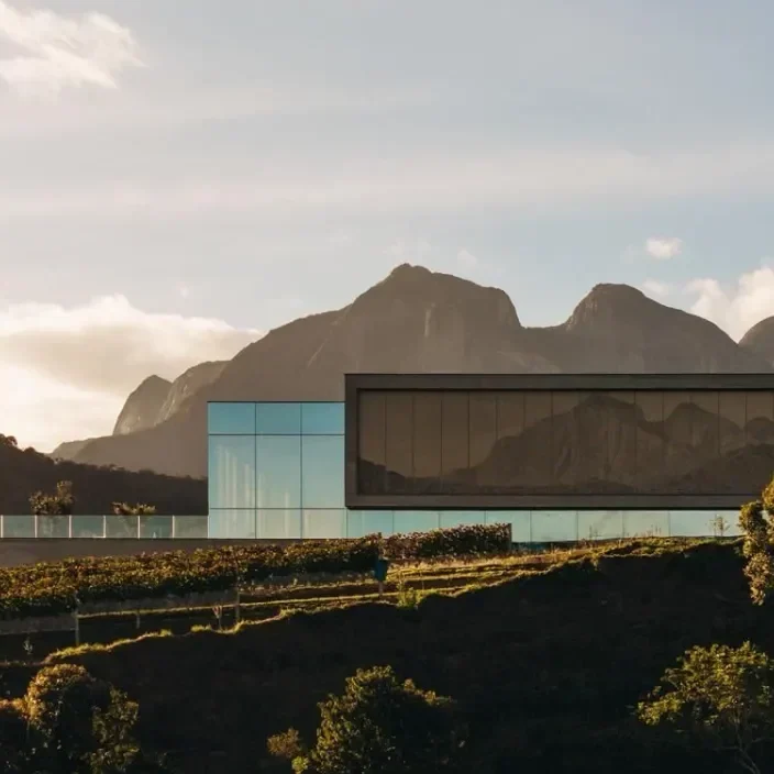 Conheça a vinícola no Rio de Janeiro que promete virar destino turístico