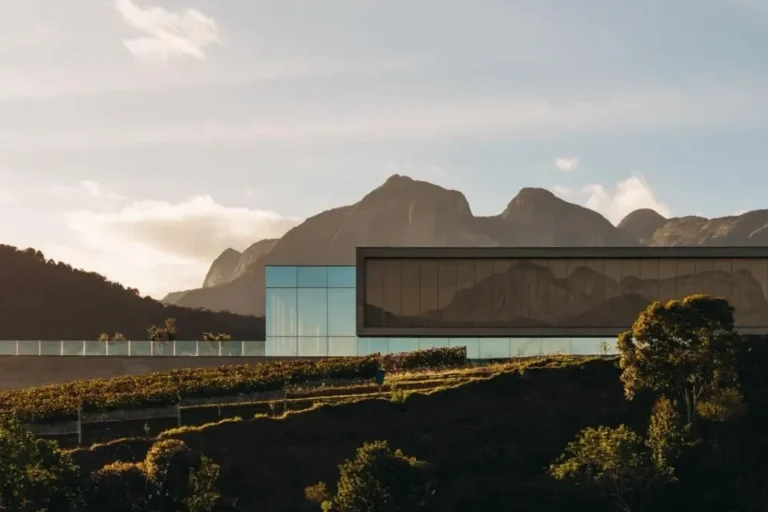 Conheça a vinícola no Rio de Janeiro que promete virar destino turístico