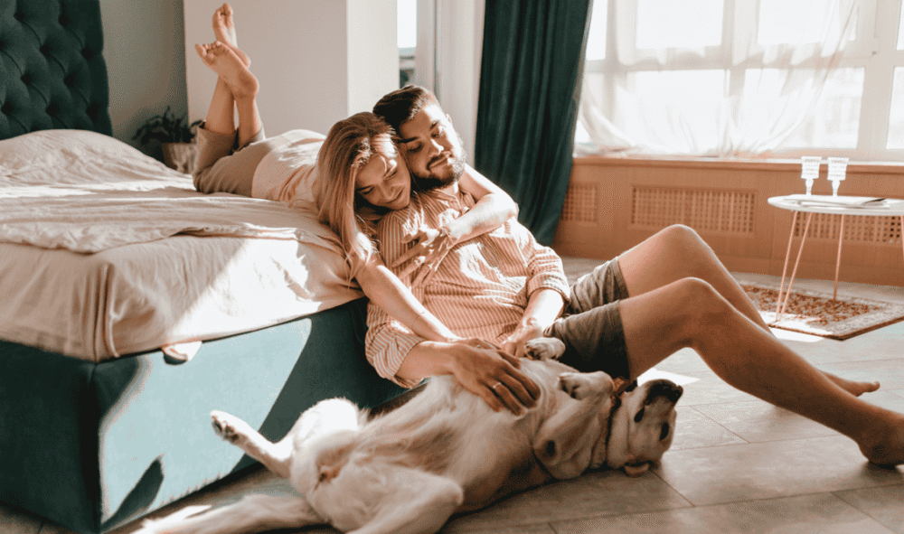 Férias com seu melhor "aumigo"! Veja hotéis pet-friendly em SP com diárias a partir de R$ 138