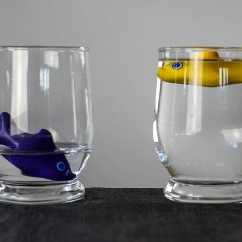 Injustiça milheira! Semana do Milheiro - 16 a 22 de março