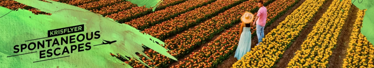 Spontaneous Escapes: confira passagens a partir de 5.600 milhas