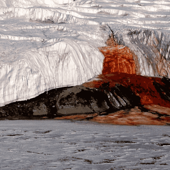 Conheça a "Cascata de Sangue" e descubra o que causa a água vermelha no gelo