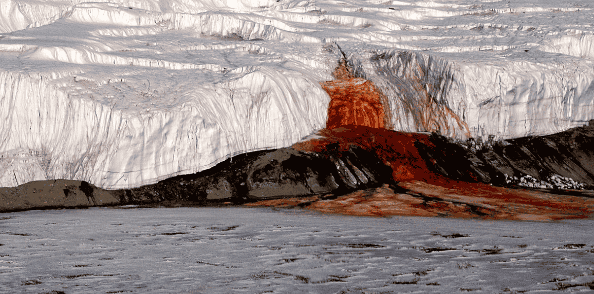 imagem cascata de sangue Conheça a "Cascata de Sangue" e descubra o que causa a água vermelha no gelo