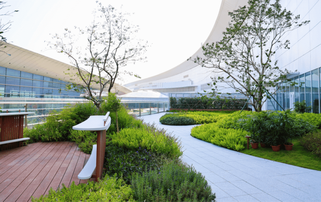 star alliance lounge