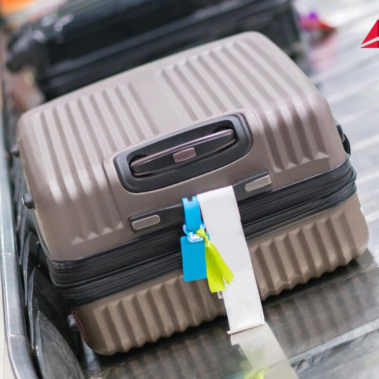 delta preço bagagem despachada