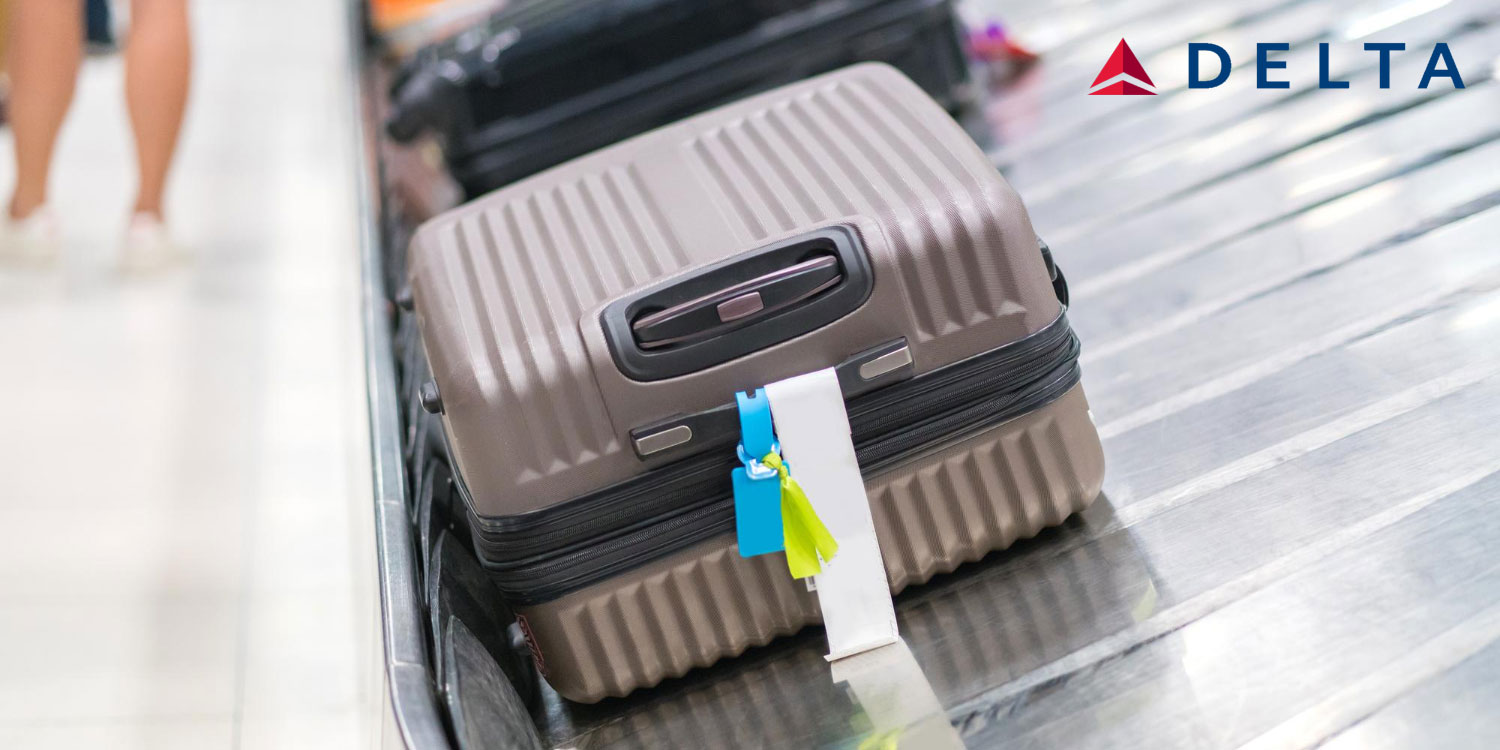 delta preço bagagem despachada