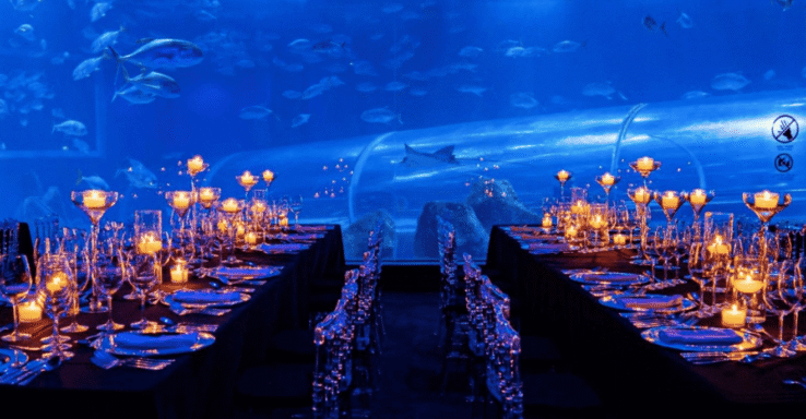 Jantar no AquaRio: nova experiência no Rio