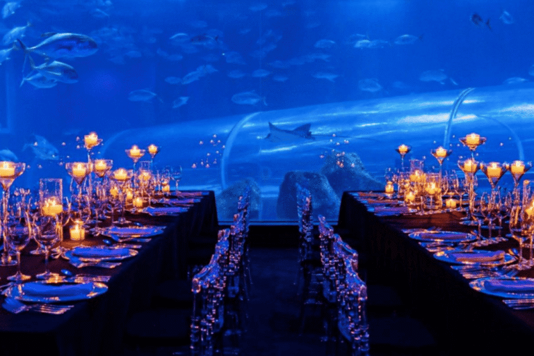 Jantar no AquaRio: nova experiência no Rio