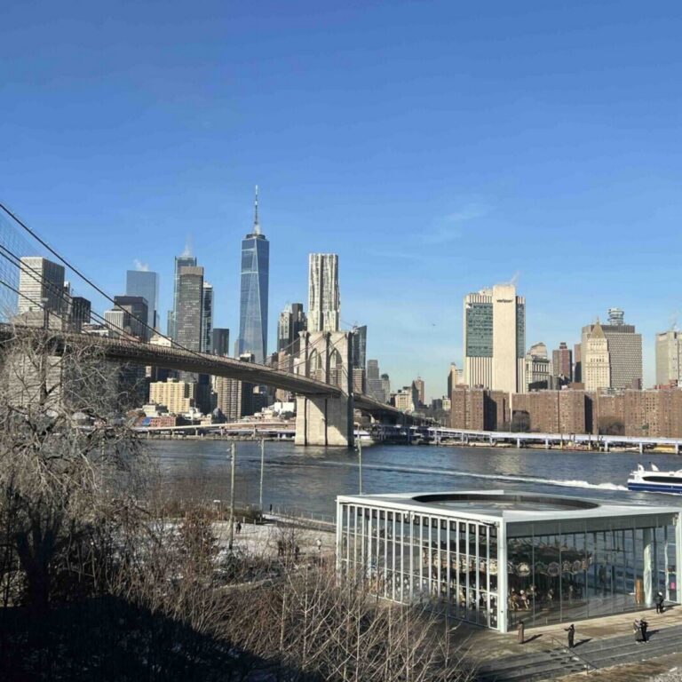 brasileiros viagens aos eua nova york