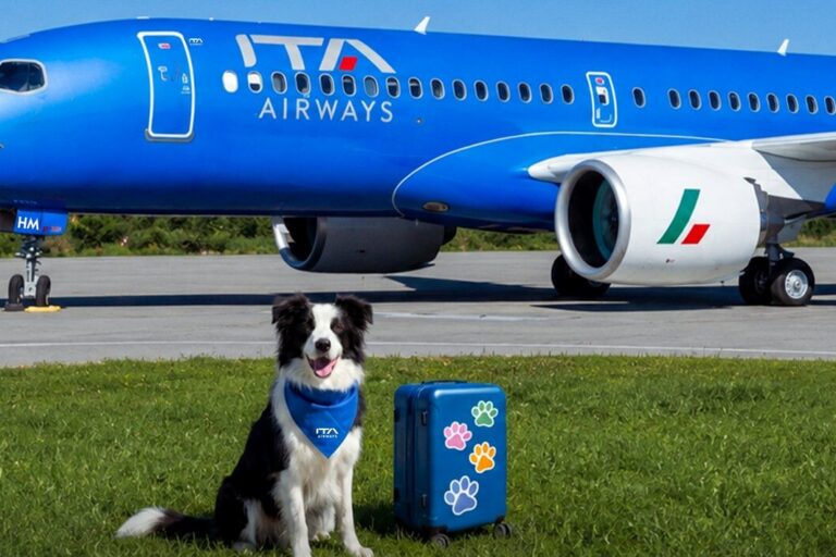 ita airways cães a bordo
